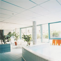 Dalles De Plafonds Dalle De Plafond Acoustique CADENCE Bord A Ecophon Blanc ép. 20 Mm - 600MM X 600MM -Plâtrerie - Plafonds Soldes Boutique cadence 20a