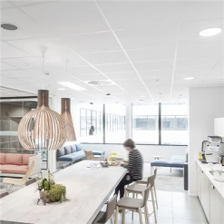 Dalles De Plafonds Dalle De Plafond Rockfon® CleanSpace™ Essential - A - 600MM X 600MM ép. 12MM -Plâtrerie - Plafonds Soldes Boutique cleanspace 20essential 20meo 20salle 20de 20pause