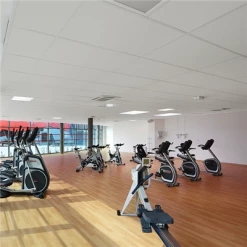 Dalles De Plafonds Dalle De Plafond Rockfon® CleanSpace™ Essential - A - 600MM X 600MM ép. 12MM -Plâtrerie - Plafonds Soldes Boutique cleanspace 20essential 20meo 20sport 202