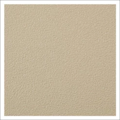 Coramine Plaques Parement Panneaux PLASTYLON VINYL Crépelé - Dim. 250 X 120 Mm