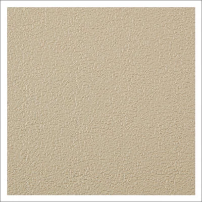 Coramine Plaques Parement Panneaux PLASTYLON VINYL Crépelé - Dim. 250 X 120 Mm 3 Coramine Plaques Parement Panneaux PLASTYLON VINYL Crépelé - Dim. 250 X 120 Mm