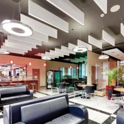 Ecophon Dalles De Plafonds Panneau SOLO BAFFLE