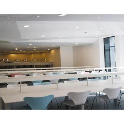 Placo Dalles De Plafonds Dalle De Plafond RIGITONE ACTIV'AIR 8-18 3 Placo Dalles De Plafonds Dalle De Plafond RIGITONE ACTIV'AIR 8-18